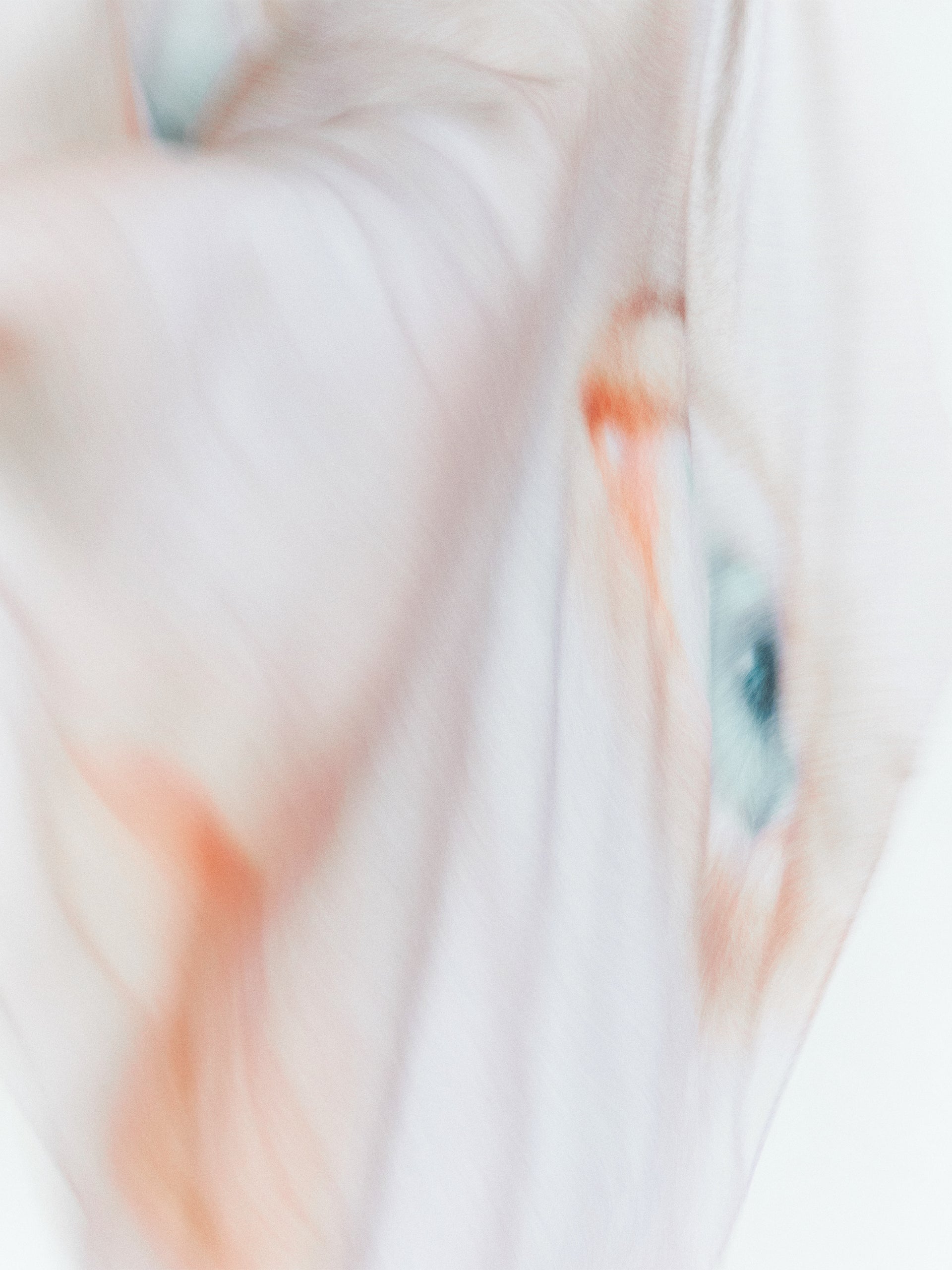 SQUARE SCARF - SERIE 1 - CASHSILK - EYES 2